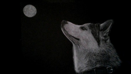 Husky (21x30cm)