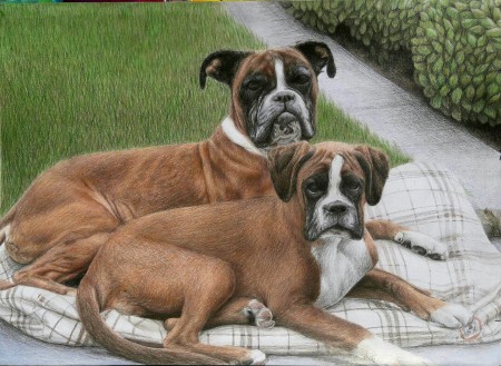 Joy & Jette (30x42cm) 