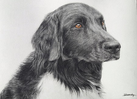 Bijke (30x42cm)